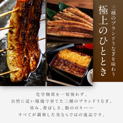 【うなぎ昊】お食事券 5000円券×2枚 | 京都 鰻専門店 人気 食事券