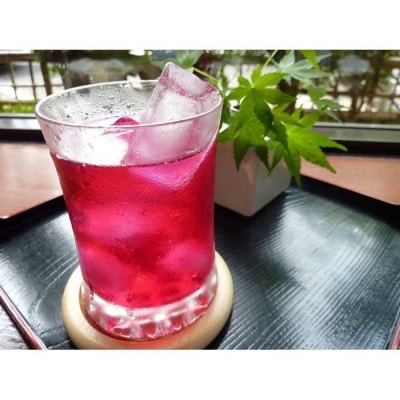 【土井志ば漬本舗】京都大原ちりめん赤紫蘇ジュース 180ml×10本|赤紫蘇ジュース 人気セット