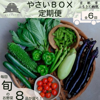 <定期便6回>【よしだのはたけ】旬の野菜8品 やさいBOX