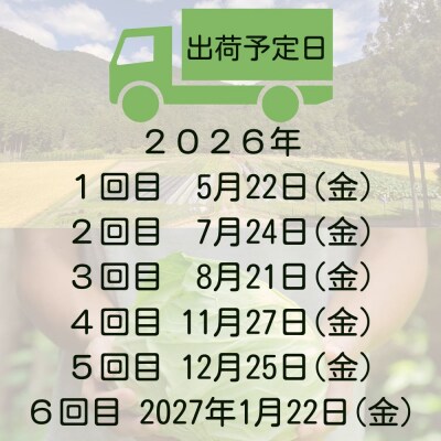 <定期便6回>【よしだのはたけ】旬の野菜8品 やさいBOX