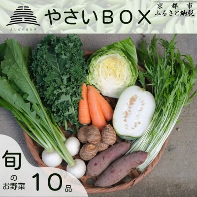 �y�悵���̂͂����z�{�̖��10�i �₳��BOX|���s ���k �_�ƒ��� ��� �l�C�Z�b�g