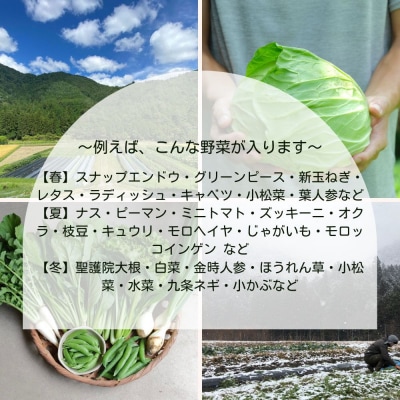【よしだのはたけ】旬の野菜10品 やさいBOX|京都 京北 農家直送 野菜 人気セット