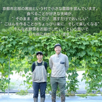 【よしだのはたけ】旬の野菜10品 やさいBOX|京都 京北 農家直送 野菜 人気セット