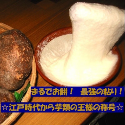 【芋家なか吉】スペシャル丹波山の芋☆二刀流☆セット (11月収穫プレミアム特選品つくね芋)