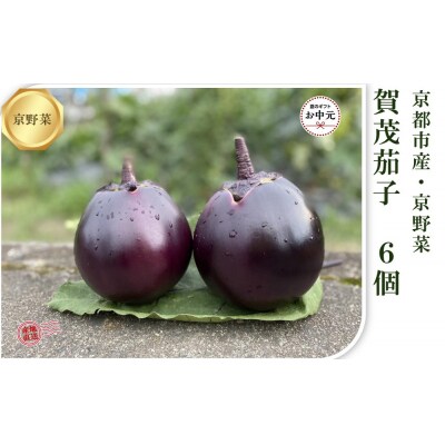 【先行予約・2026年7月発送】京ブランド野菜・賀茂茄子(かもなす) 6個 約1.5kg
