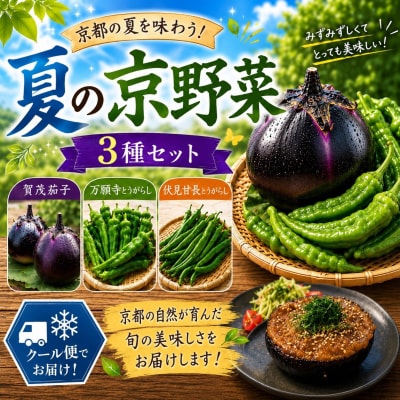 夏の京野菜「3種セット」賀茂茄子・万願寺とうがらし・伏見とうがらし |京都 野菜 人気セット