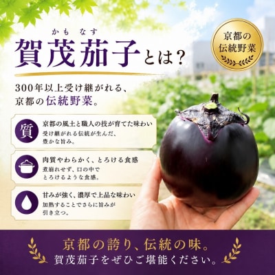 夏の京野菜「3種セット」賀茂茄子・万願寺とうがらし・伏見とうがらし |京都 野菜 人気セット