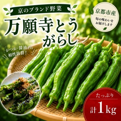 万願寺とうがらし(京野菜)1kg(目安30～35本) |京都 野菜 人気セット