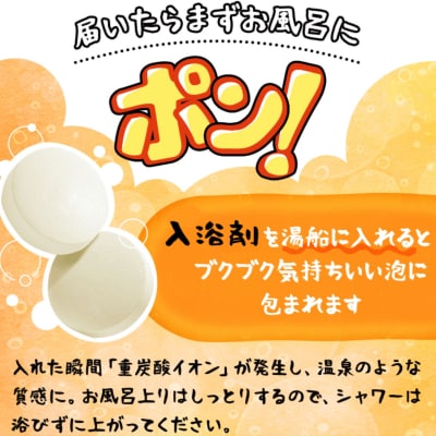 【渡辺】薬用炭酸入浴剤 ロイヤル命潤 60包|京都 入浴剤 人気セット