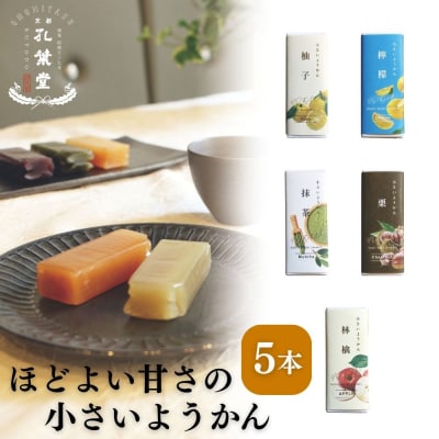 【孔葉堂】一口サイズの可愛いようかん5種セット | 京都 ようかん 人気
