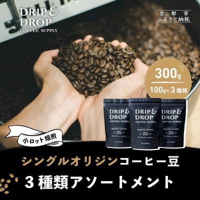 【DRIP&DROP】シングルオリジンコーヒーアソートメント コーヒー豆(豆のまま)