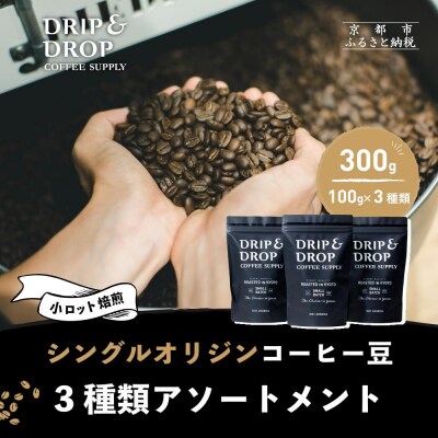 【DRIP&DROP】シングルオリジンコーヒーアソートメント  コーヒー(ペーパーフィルター挽き)
