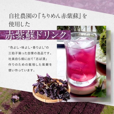 【土井志ば漬本舗】京都大原ちりめん赤紫蘇ジュース 180ml×20本入り|赤紫蘇ジュース 人気