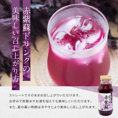 【土井志ば漬本舗】京都大原ちりめん赤紫蘇ジュース 180ml×20本入り|赤紫蘇ジュース 人気