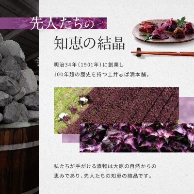 【土井志ば漬本舗】はんなり京漬物7種8点セット WS40(秋冬)|京都大原 老舗 漬物 人気セット