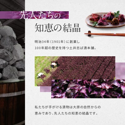 【土井志ば漬本舗】はんなり京漬物8種10点セットWS50(秋冬) |京都大原 老舗 漬物 人気セット