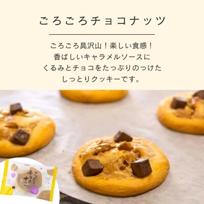 【伊藤軒】ごろごろセット 10個入り|京都 看板スイーツ 3種スイーツ詰合せ 個包装