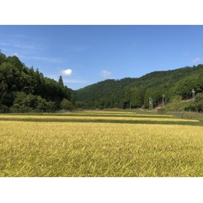 〈6か月定期便〉令和7年産 京都ファームのヒノヒカリ 精米 毎月5kg×6回(3月～8月)