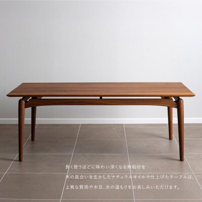 〈FILE FURNITURE WORKS〉ダイニングテーブル(DT-3 Dining Table)