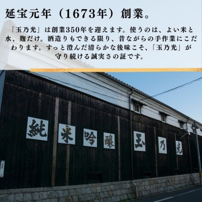 《美酒コンクール金賞》【玉乃光酒造】純米吟醸 青まねきつね 720ml|京都 老舗 日本酒 人気