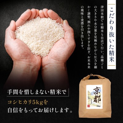 新米予約 津田米穀 五つ星お米マイスター監修 藤野さんが育てたコシヒカリ 5kg|京都 人気 精米