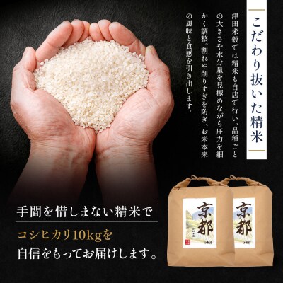 新米予約 津田米穀 五つ星お米マイスター監修 藤野さんが育てたコシヒカリ 10kg|京都 人気 精米