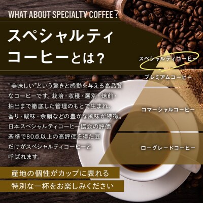 【AMANO COFFEE ROASTERS】スペシャリティコーヒーセレクトドリップパック8袋入り