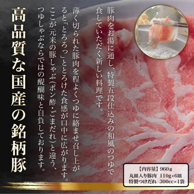 【京都本店 つゆしゃぶちりり】お試し 京都産豚スライス肉600gと謹製つゆのシンプルセット