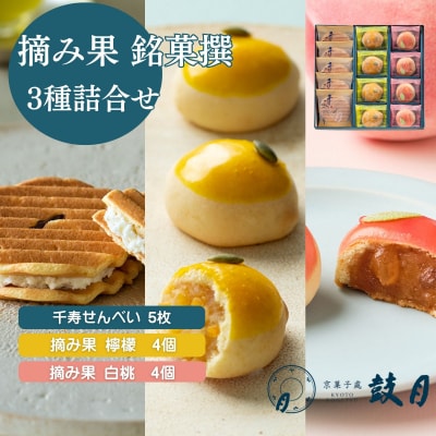 【鼓月】摘み果銘菓撰3種詰合せ|京都 和菓子 有名店 人気セット 和菓子
