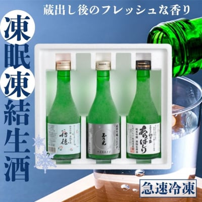 京都 凍眠凍結生酒 飲み比べ3本セット 300ml×3本|冷凍 日本酒 人気セット