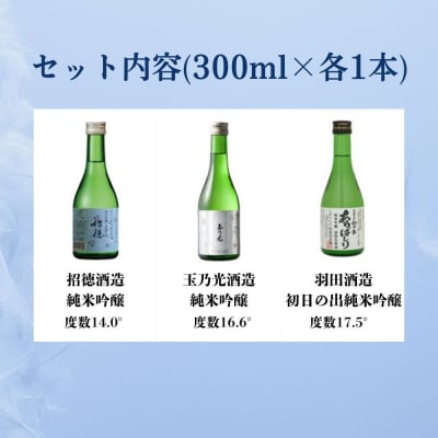 京都 凍眠凍結生酒 飲み比べ3本セット 300ml×3本|冷凍 日本酒 人気セット