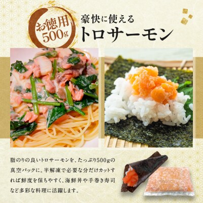 【丸友水産】トロサーモン 500g|京都 トロサーモン ノルウェー産