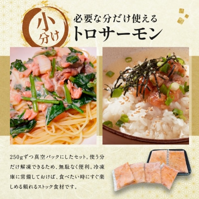 【丸友水産】トロサーモン 250g×4パック 計1kg|京都 トロサーモン ノルウェー産