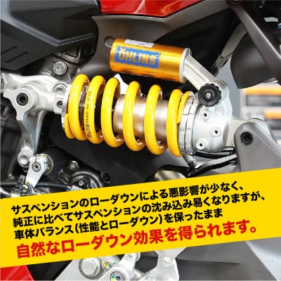 【AELLA】DUCATI Panigale V2 ’25-|ローダウンリテーナー AE-76011