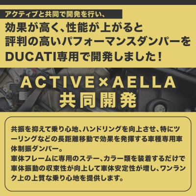 【AELLA】DUCATI Street Fighter V4|パフォーマンスダンパー(R)