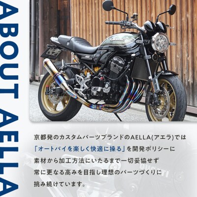 【AELLA】DUCATI Street Fighter V4|パフォーマンスダンパー(R)