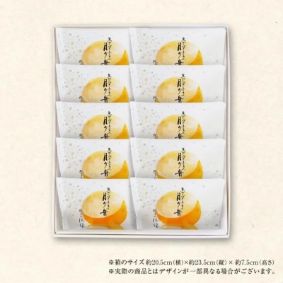 【仁々木】焦がしバターふりあん月の舟(10個入り)(祇をんににぎ)