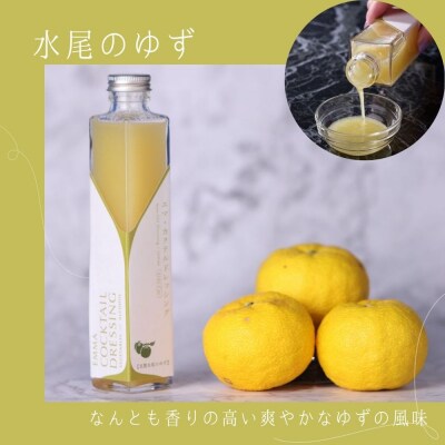 【Aperio】エマ京野菜ドレッシング3本セット|京都 ノンオイルドレッシング 調味料 人気