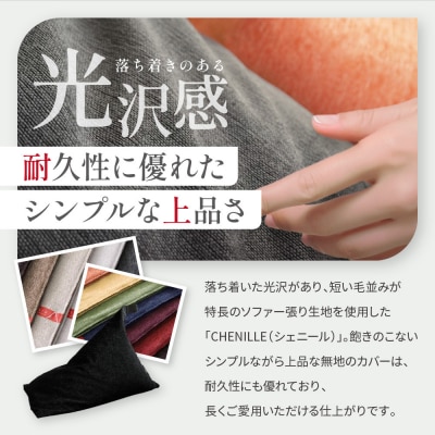大東寝具  tetra シェニール(レギュラーサイズ)ビーズクッション(アーモンド)|寝具 人気