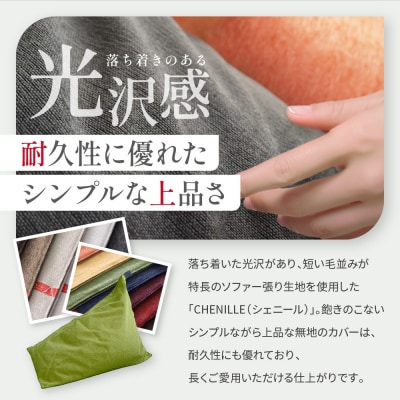 大東寝具 tetra シェニール(ビッグサイズ)ビーズクッション(セラドングリーン|京都 寝具 人気