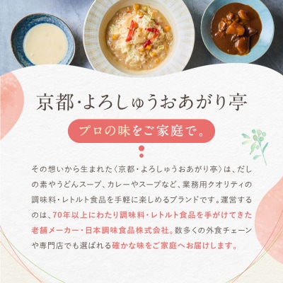 介護食 鶏のカレー粥 10個|レトルト 介護食品