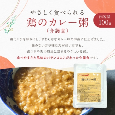 介護食 鶏のカレー粥 10個|レトルト 介護食品