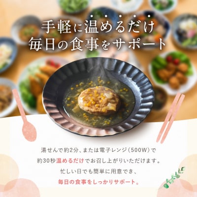 介護食 やわらか煮込みハンバーグ 10個|レトルト 介護食品