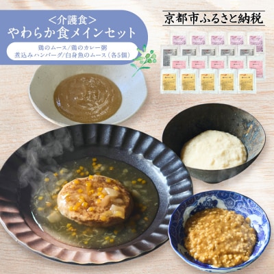 介護食 やわらか食 メインセット 鶏のムース/鶏のカレー粥/煮込みハンバーグ/白身魚のムース 各5個