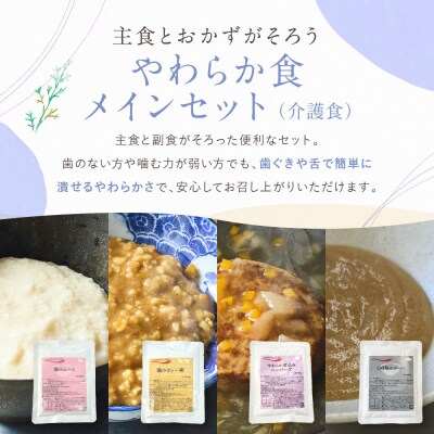 介護食 やわらか食 メインセット 鶏のムース/鶏のカレー粥/煮込みハンバーグ/白身魚のムース 各5個