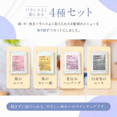 介護食 やわらか食 メインセット 鶏のムース/鶏のカレー粥/煮込みハンバーグ/白身魚のムース 各5個
