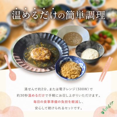 介護食 やわらか食 メインセット 鶏のムース/鶏のカレー粥/煮込みハンバーグ/白身魚のムース 各5個