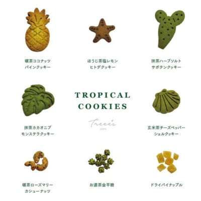 《夏季限定9月末まで》【TREEE’S】トロピカルクッキー缶|京都 スイーツブランド 抹茶 