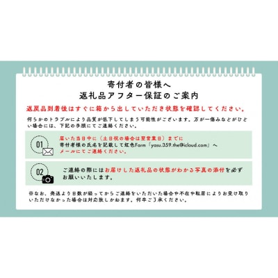  《先行受付・2026年7月お届け》【虹色Farm】国産カブトムシ成虫1ペア(飼育キット付) |京都