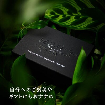 【TREEE’S】お濃茶トリュフチョコレート 6個 |京都 スイーツブランド 人気 抹茶スイーツ